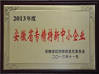 2013年安徽省專(zhuān)精特新中小企業(yè)